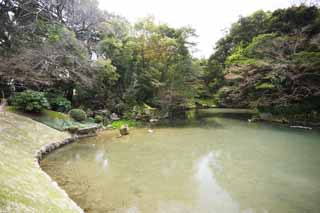foto,tela,gratis,paisaje,fotografa,idea,La laguna del Koraku - en hoja floral de jardinera, Puente, Soy de madera, Barandilla, Jardn japons