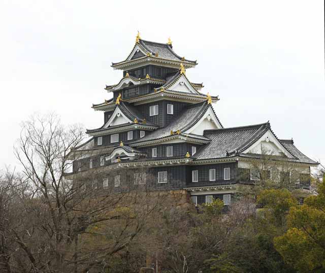 foto,tela,gratis,paisaje,fotografa,idea,Castillo de Okayama - jo, Castillo, La torre de castillo, Castillo de Crow, 