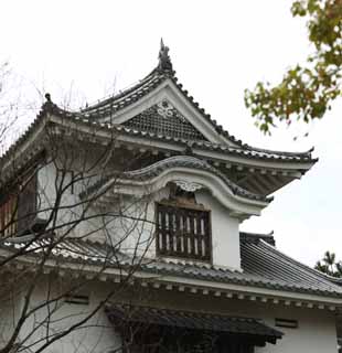 fotografia, materiale, libero il panorama, dipinga, fotografia di scorta,Okayama-jo Castello che vede il remo di luna, castello, remo di angolo, Castello di corvo, 