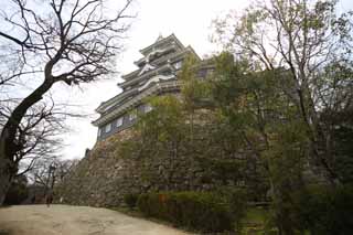 fotografia, material, livra, ajardine, imagine, proveja fotografia,Okayama-jo Castelo, castelo, A torre de castelo, Castelo de corvo, 
