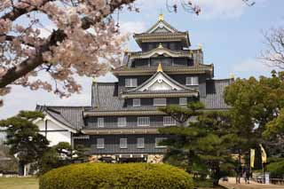 Foto, materieel, vrij, landschap, schilderstuk, bevoorraden foto,Okayama-jo Kasteel, Kasteel, Het kasteel toren, Kraai Kasteel, 