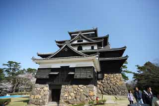 fotografia, materiale, libero il panorama, dipinga, fotografia di scorta,Il Matsue-jo torre di castello di Castello, pino, Accumulare-pietre, castello, Ishigaki