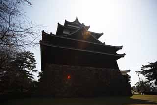 Foto, materieel, vrij, landschap, schilderstuk, bevoorraden foto,De Matsue-jo Kasteel kasteel toren, Pijnboom, Heiwerk-Stones, Kasteel, Ishigaki