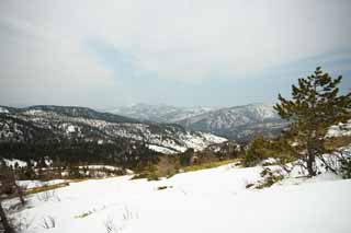 foto,tela,gratis,paisaje,fotografa,idea,(capseq). Shirane cubierto de nieve campo, rbol, Cielo azul, Montaa alta, Forma de un rbol